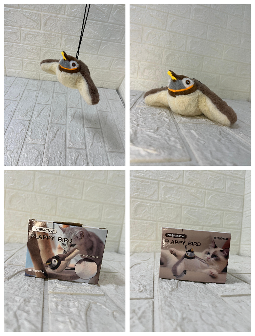 عصفور طائر للقطط والحيوانات الأليفة