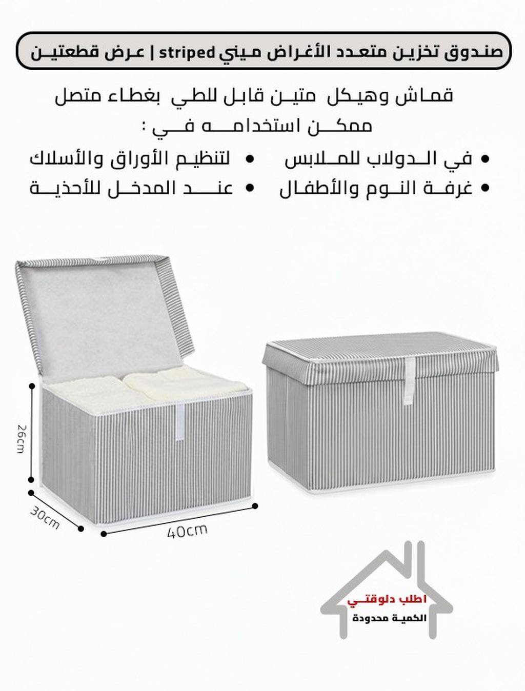صندوق تخزين متعدد الأغراض ميني|عرض قطعتين